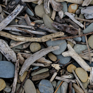Beach Stones Driftwood Bröllop Inbjudningar