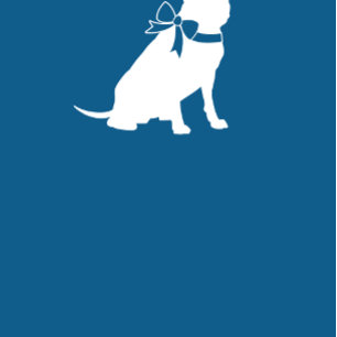 Pit Bull Dog Baby Shower Blue Boy Pitbull Inbjudningar