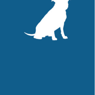 Pit Bull Dog Baby Shower Blue Boy Pitbull Inbjudningar