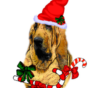 Bloodhound jul julkort