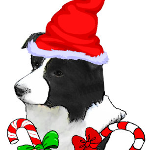 Gräns Collie-jul Julkort