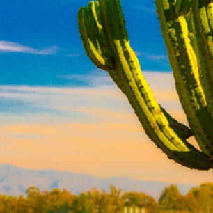 Färgfull inbjudan till Saguaro Cactus Desert Weddi