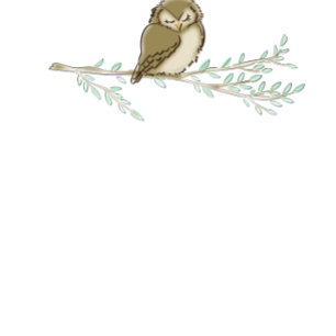 Spipande Uggla Baby Shower Woodland Bird Inbjudningar