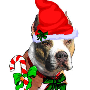 American Pit Bull Terrier jul Julkort