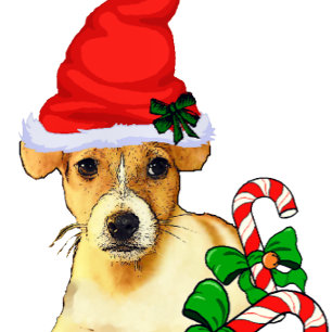 Jack Russell Terrier-jul Julkort