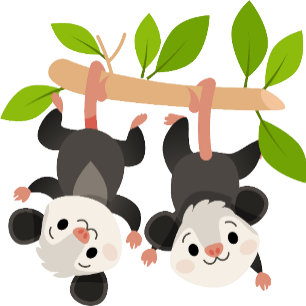 Rolig Opossum Födelsedagsinbjudan  Inbjudningar