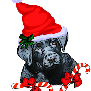 Gullig jul för Labrador Retriever Helgkort