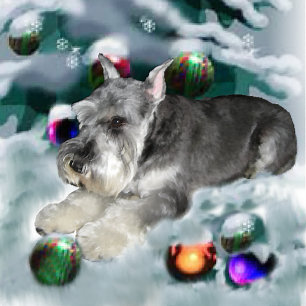Miniature Schnauzer julgåvor Helgkort