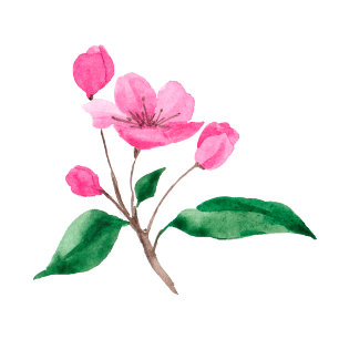 Vår rosa Garden-delikat Cherry blommar Bröllop Inbjudningar