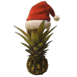 Hawaiansk vykort för ananasSanta hatt