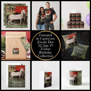 Capricorn - Goat Zodiac-Födelsedagsfesten T Shirt