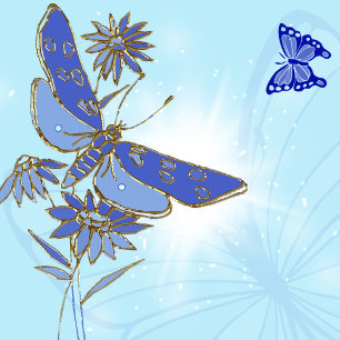 Blue Butterfly Butterfly Button Knapp