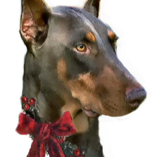DobermanPinscherjul Helgkort