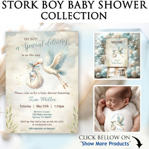 Speciell Delivery Stork Boy Shower Small Presentaskar