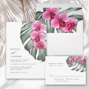 Shock rosa Orchids Tropical OSA with Entree Kort