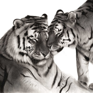Tiger Love Art - Handmålad dekoration för vilda dj Fototryck