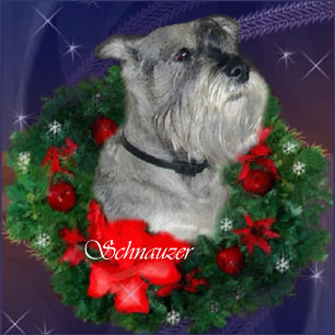 Schnauzer-julklappar Helgkort
