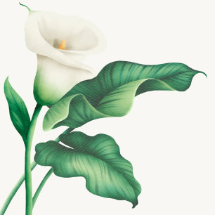 Elegant Watercolor Lilly Baby Shower Inbjudningar