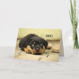 SVEET ANSIKTE FÅR VÄL KORT