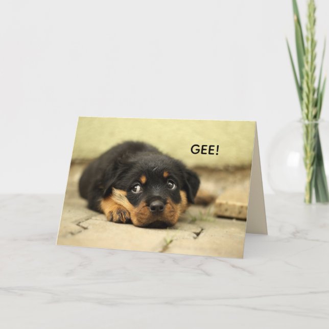 SVEET ANSIKTE FÅR VÄL KORT (Framsida)