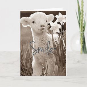 **SVEET BABY LAMB ÄR SÅ LYCKLIG FÖR DIG* GRATULERA KORT