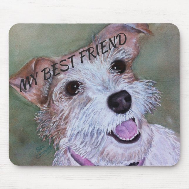 SVEET JACK RUSSELL MUSMATTA (Framsidan)