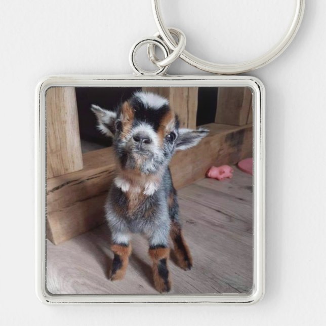 SVEET "KID" (BABY GOAT) KEYCHAIN FYRKANTIG SILVERFÄRGAD NYCKELRING (Framsidan)