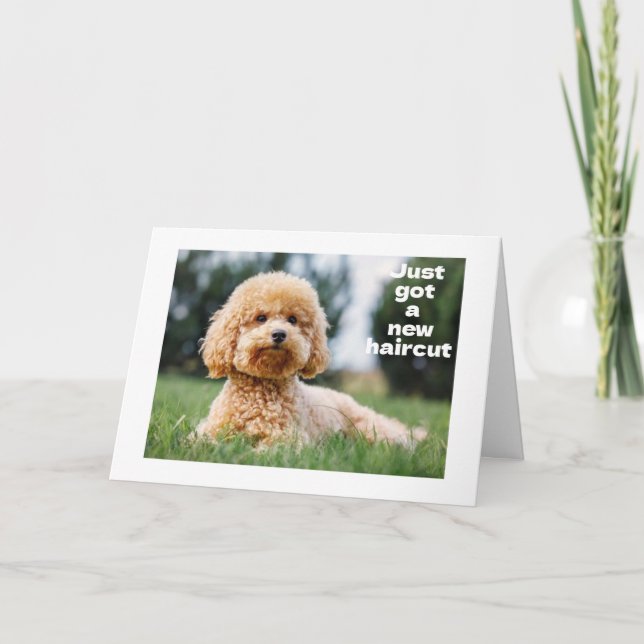 SVEET NALLE säger "LYCKLIG "60:e BIRTHDAY" Kort (Framsida)