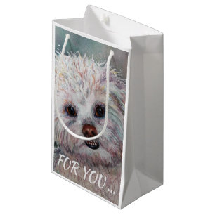SVEET WHITE MALTESE YORKIE MIX
