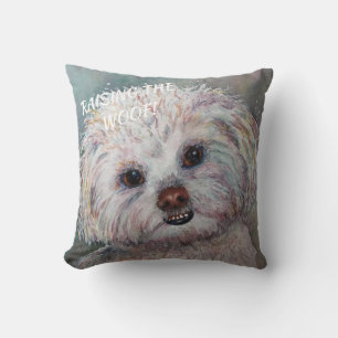 SVEET WHITE MALTESE YORKIE MIX KUDDE