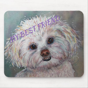 SVEET WHITE MALTESE YORKIE MIX MUSMATTA