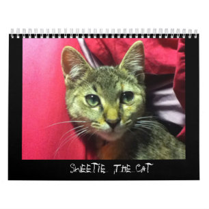 SVEETIT FÖR CAT-kalendern Kalender