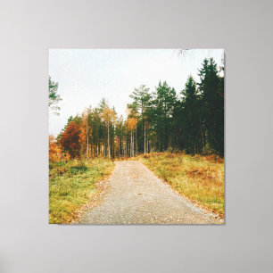 Svenska Autumnalskogen Canvastryck
