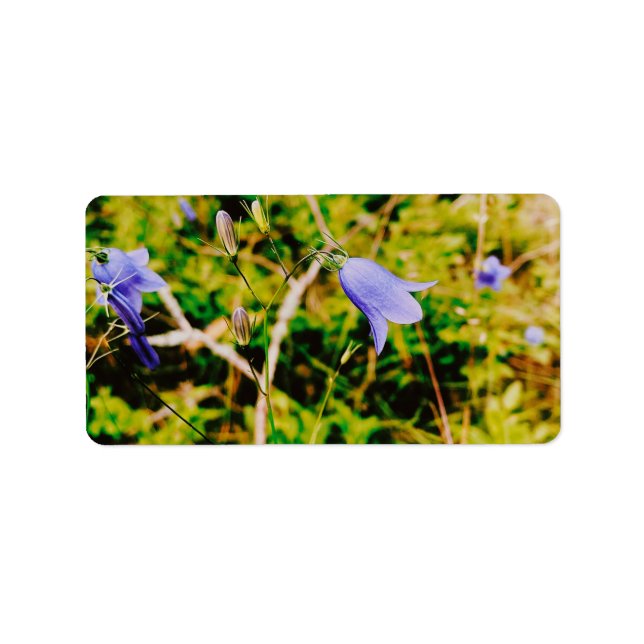 Svenska Bluebell Adressetikett (Framsidan)