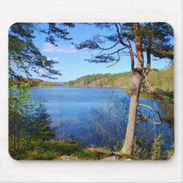 Svenska fjord musmatta