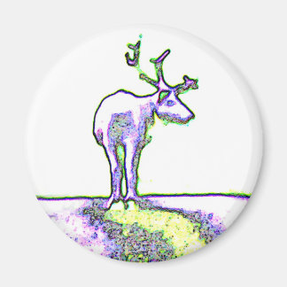 Svenska renar magnet