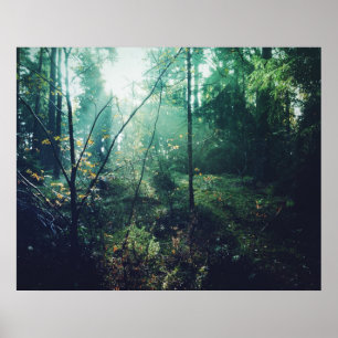Svenska Skogen Poster