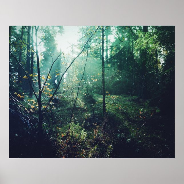 Svenska Skogen Poster (Framsidan)