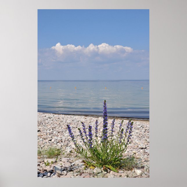 Svenska utskrift poster (Framsidan)