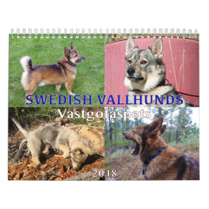 Svenska Vallhund, Vastgotaspets, Callendar 2018 Kalender