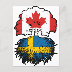 Sverige Svenska Canadian Träd Roots Flagga Vykort