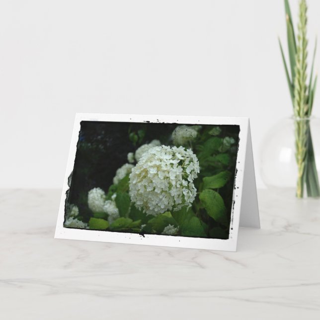 Sverigens trädgårdar kort (Framsida)