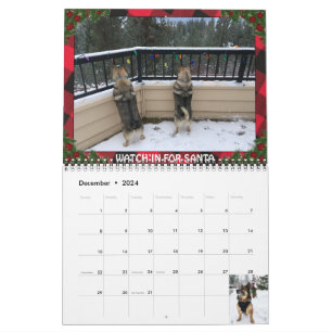 Sveriges Vallhund Calendar Kalender