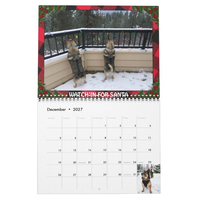 Sveriges Vallhund Calendar Kalender (Dec 2027)