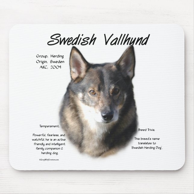 Sveriges Vallhund Historik Musmatta (Framsidan)