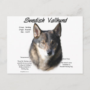 Sveriges Vallhund Historik Vykort