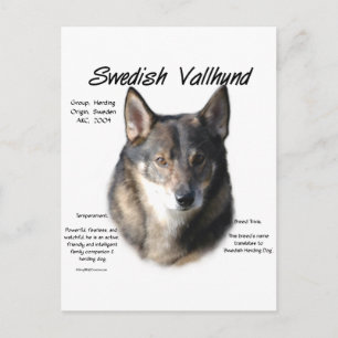 Sveriges Vallhund Historik Vykort