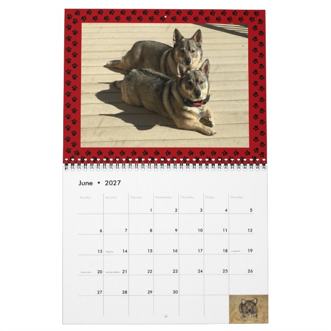 Sveriges Vallhund-kalender 2024* Kalender (Jun 2027)
