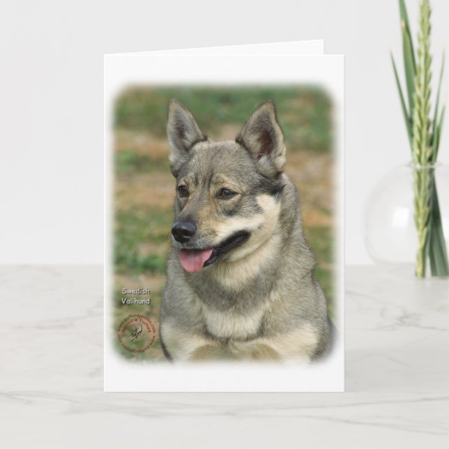 Sveriges Vallhund Kort (Framsida)
