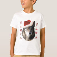 Sveriges Vallhund Santa Tassar